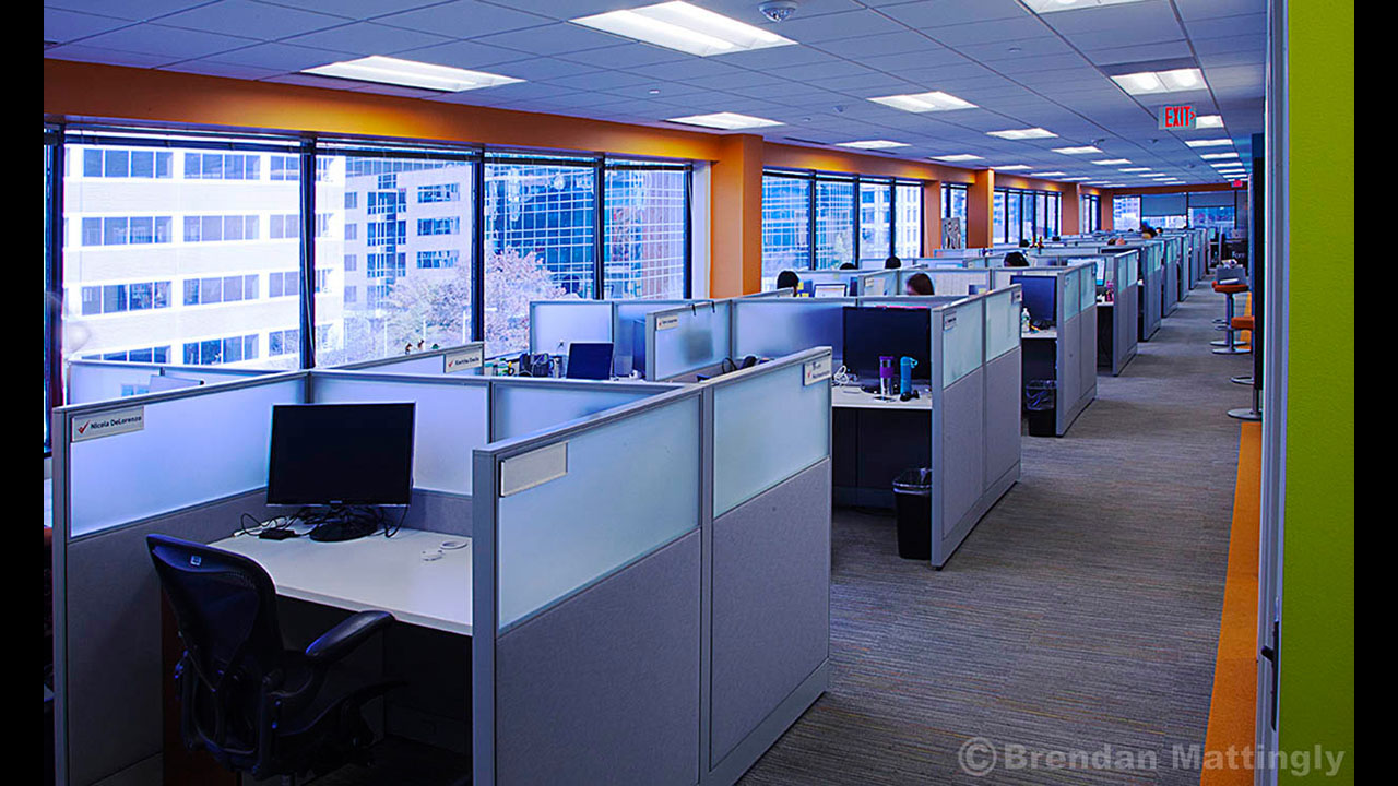 A row of cubicles in an office.