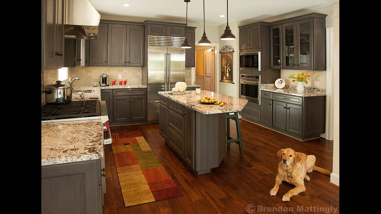 A dog is standing in the middle of a kitchen.