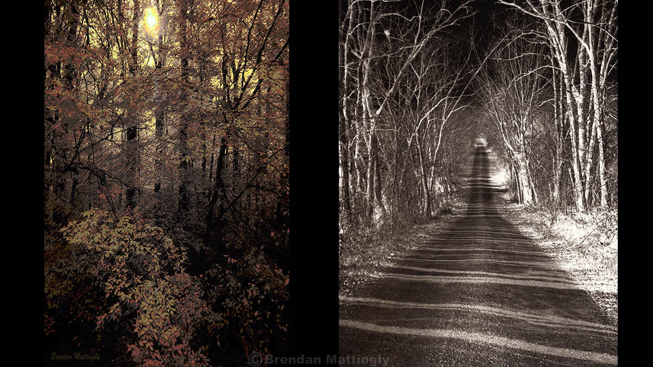 Two black and white pictures of a road in the woods.