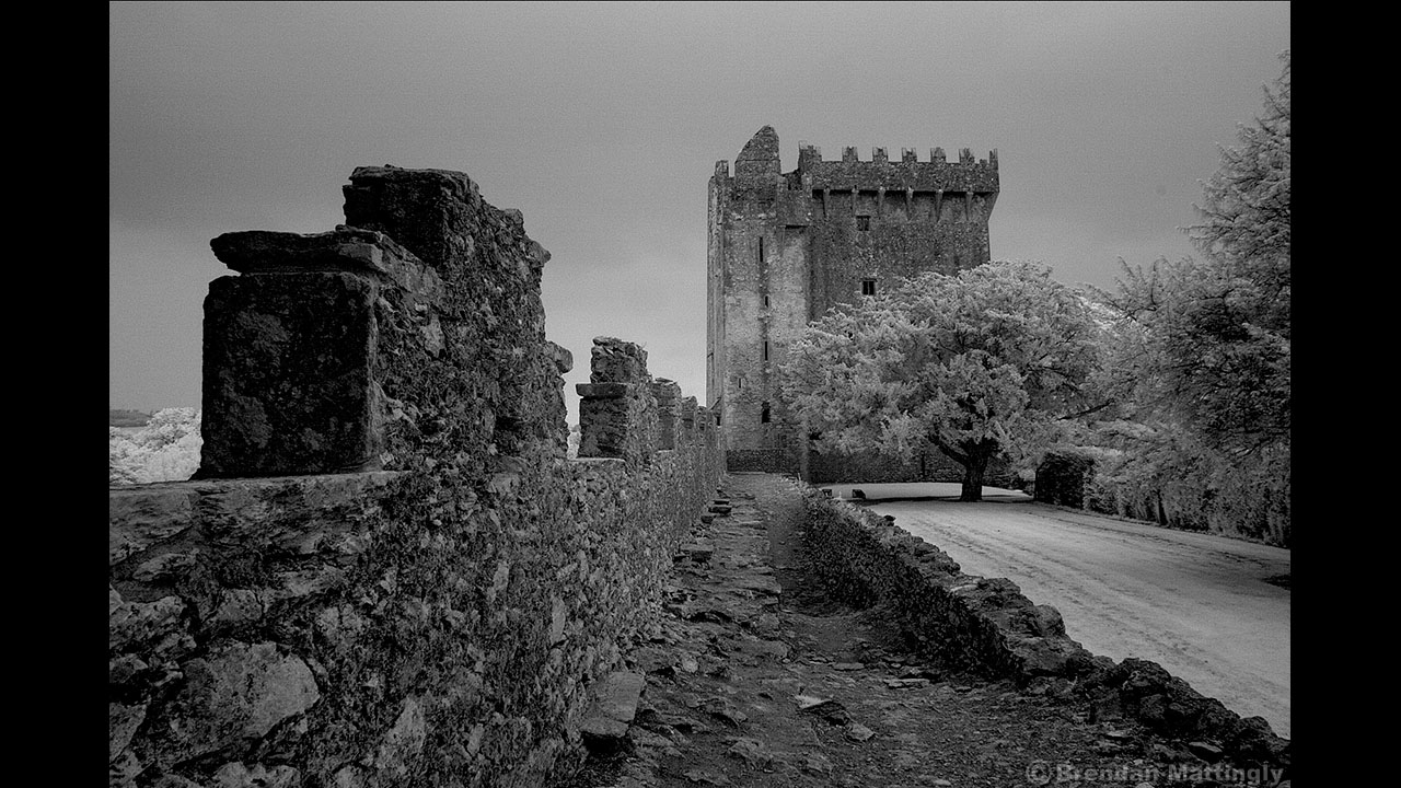 A black and white photo of a castle.