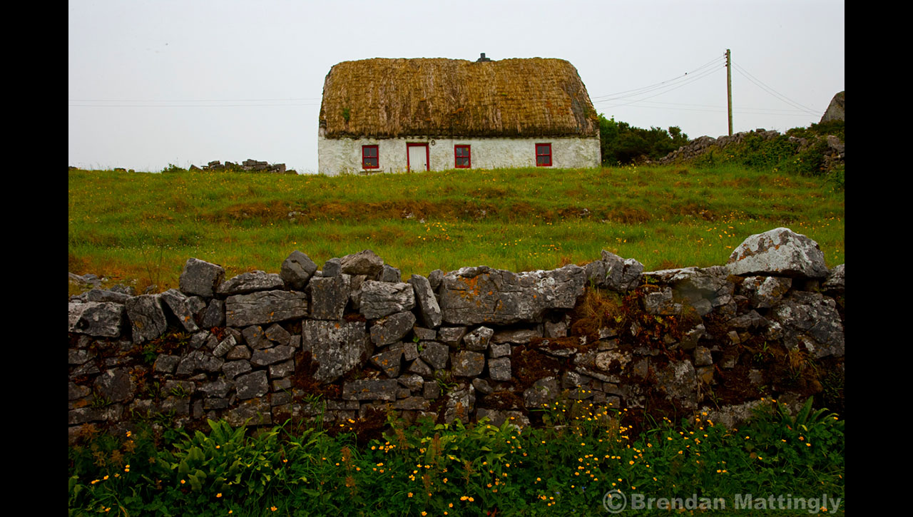 A house with a thatched roof next to a stone wall.